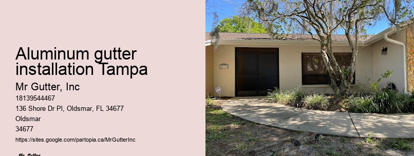 Aluminum gutter installation Tampa gutter inspection
