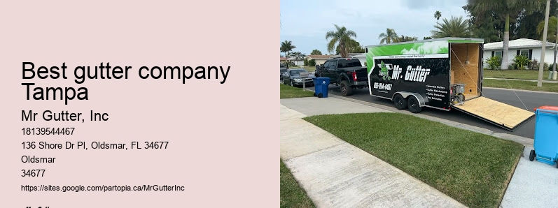Gutter installation price comparison Best gutter company Tampa