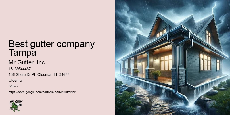 Gutter installation consultation Best gutter company Tampa