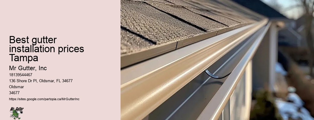 Best gutter installation prices Tampa gutter installation tips
