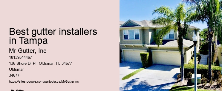 Reliable gutter systems Best gutter installers in Tampa