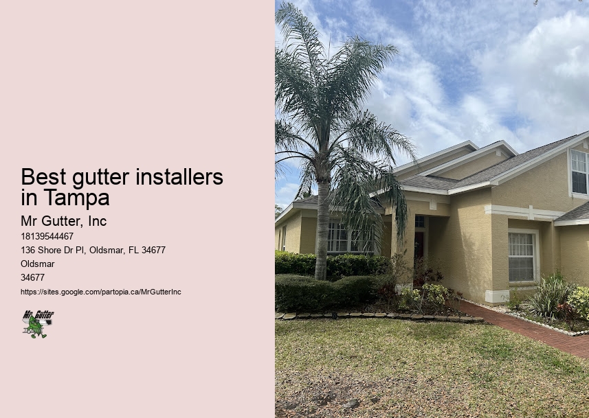 Top-rated gutter contractors Best gutter installers in Tampa