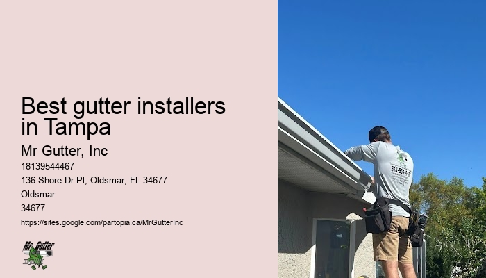 Best gutter installers in Tampa gutter system installation reviews
