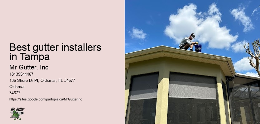 Experienced gutter contractors Best gutter installers in Tampa