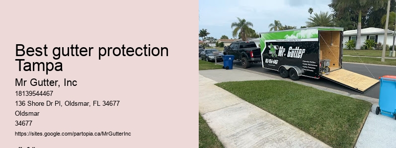 Best gutter protection Tampa gutter service providers