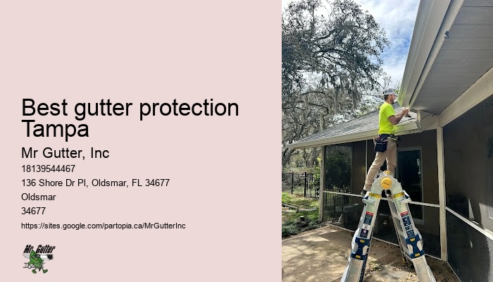 Best gutter protection Tampa gutter system installation reviews