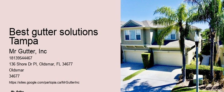 Best gutter solutions Tampa gutter system installation