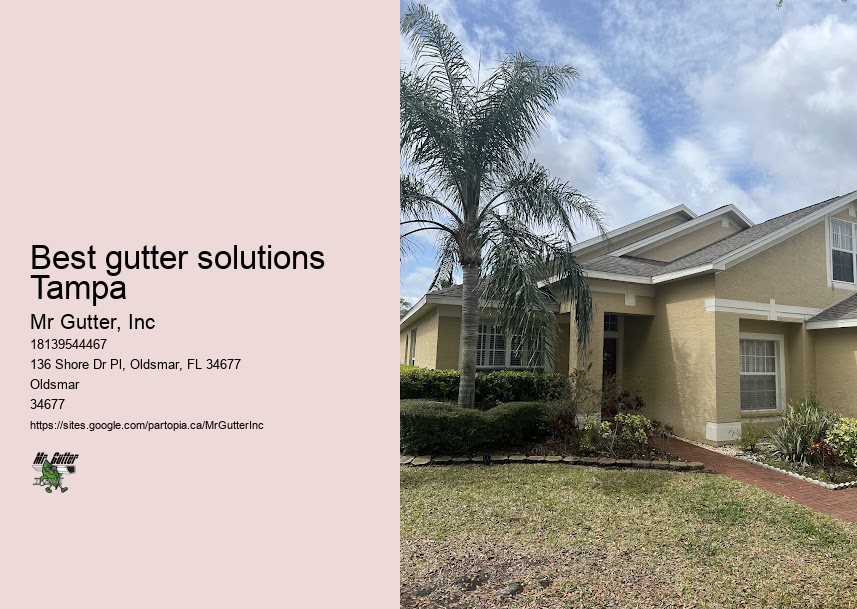 Best gutter companies Best gutter solutions Tampa
