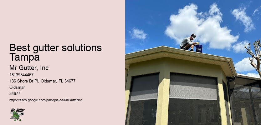 Professional gutter services Best gutter solutions Tampa