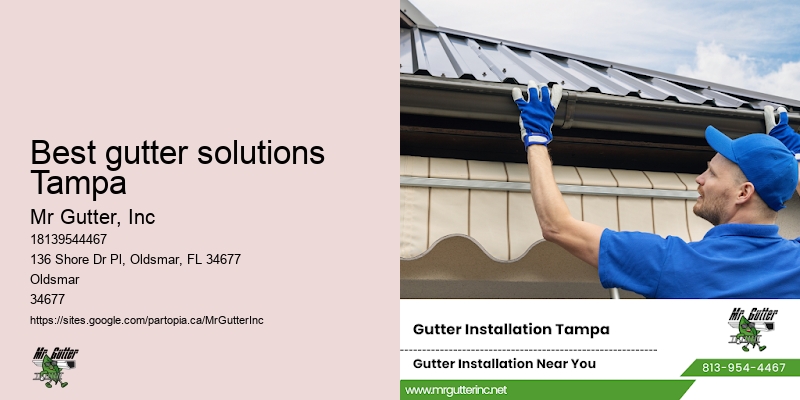Gutter design and installation Best gutter solutions Tampa