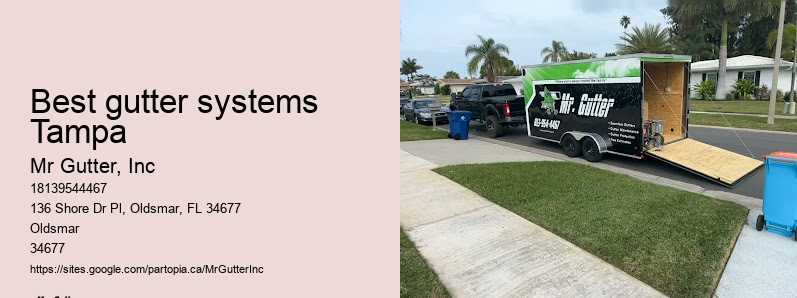Local gutter repair Best gutter systems Tampa