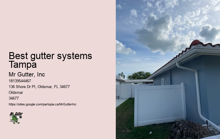 Best gutter systems Tampa gutter repair near me