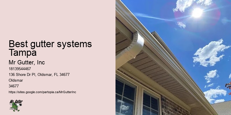Top-rated gutter replacement Best gutter systems Tampa