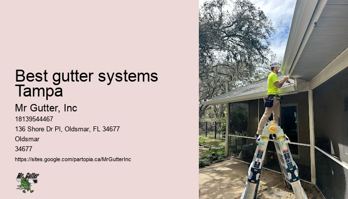 Gutter system design Best gutter systems Tampa