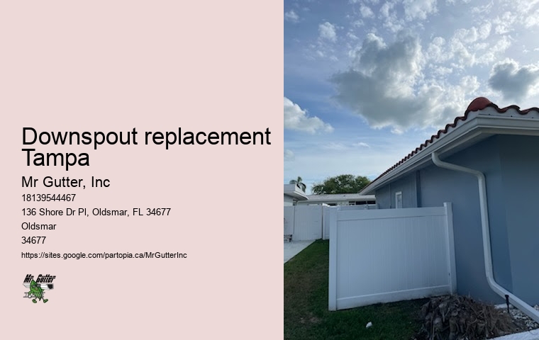 Gutter protection reviews Downspout replacement Tampa