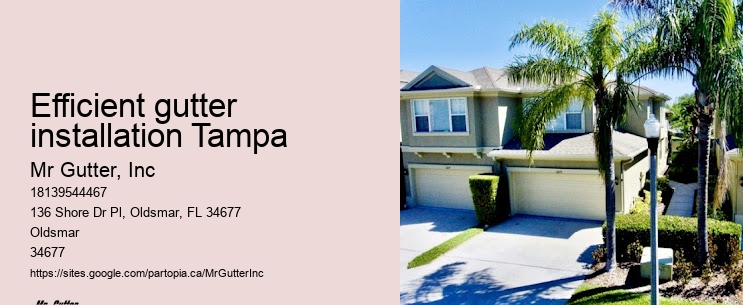 Seamless gutter installation Efficient gutter installation Tampa