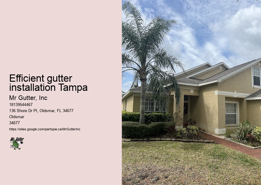 Rain gutter installation Efficient gutter installation Tampa