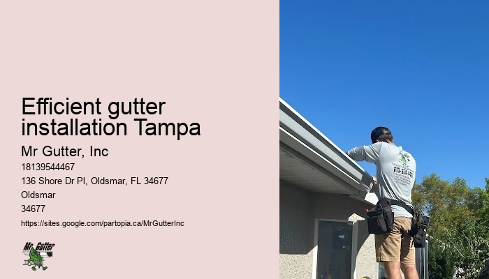 Gutter replacement Efficient gutter installation Tampa