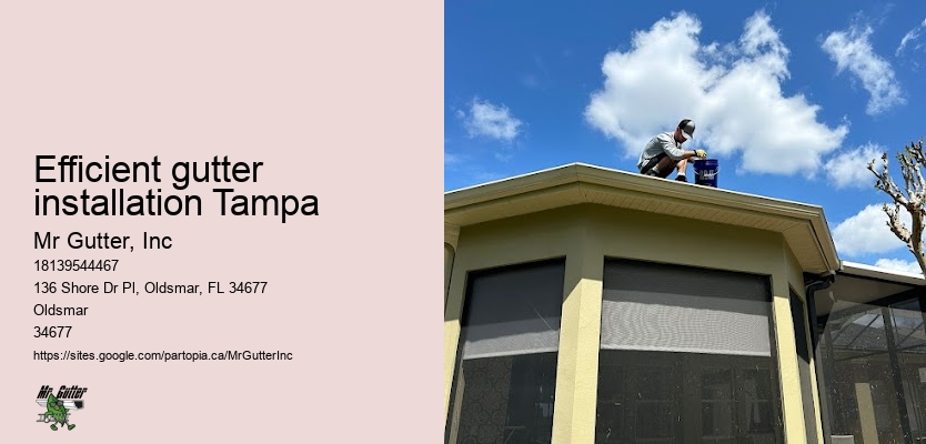 Gutter repair Efficient gutter installation Tampa