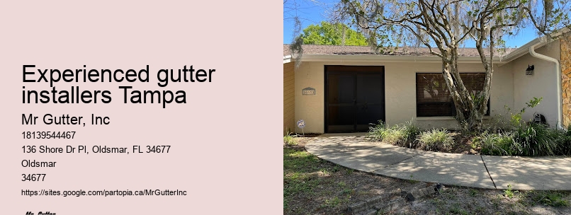 Functional gutter installation Experienced gutter installers Tampa