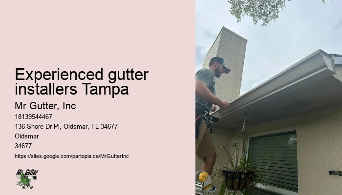 Effective gutter installation Experienced gutter installers Tampa