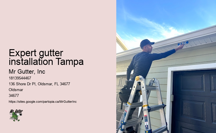 Best gutter installers Expert gutter installation Tampa