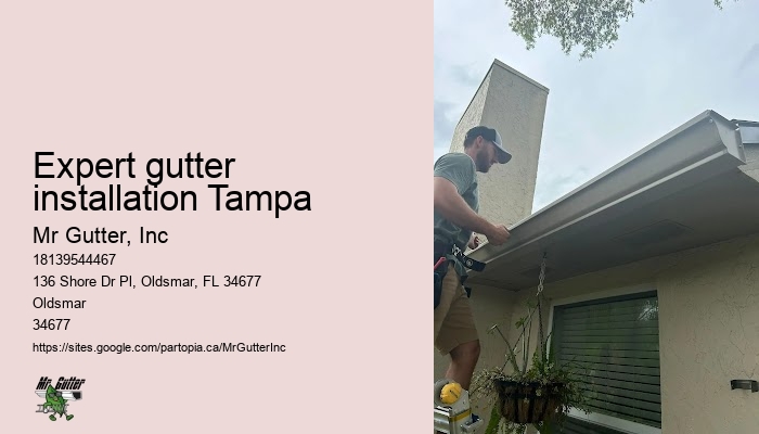 Professional gutter installation Expert gutter installation Tampa