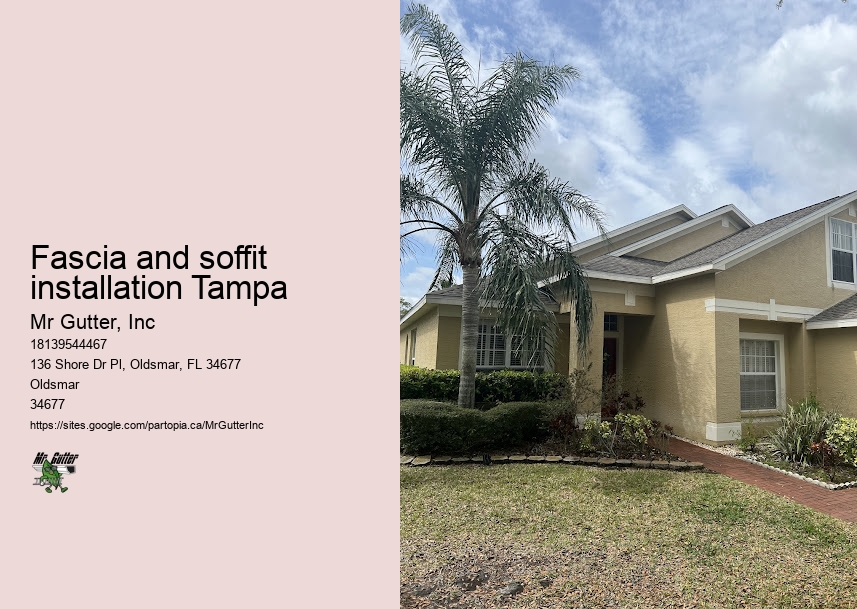 Custom gutter repair Fascia and soffit installation Tampa