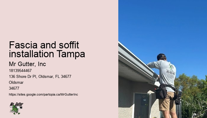 Fascia and soffit installation Tampa leaf guard gutter installation