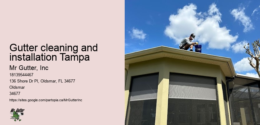 Gutter installation financing Gutter cleaning and installation Tampa