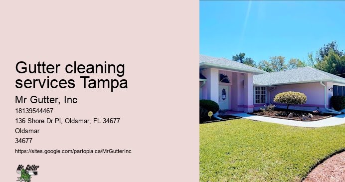 Top gutter installation contractors Gutter cleaning services Tampa