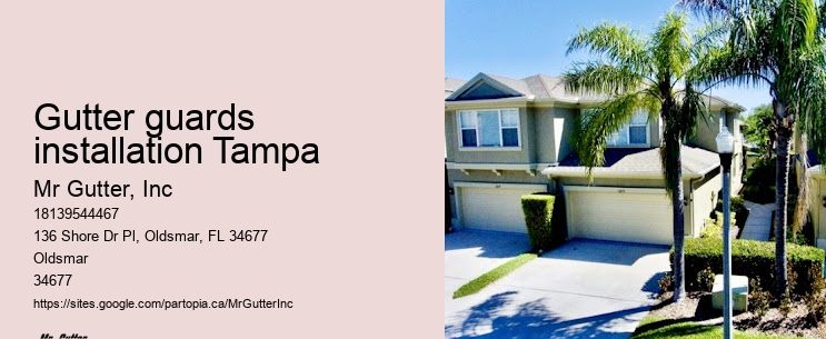 Gutter inspection Gutter guards installation Tampa