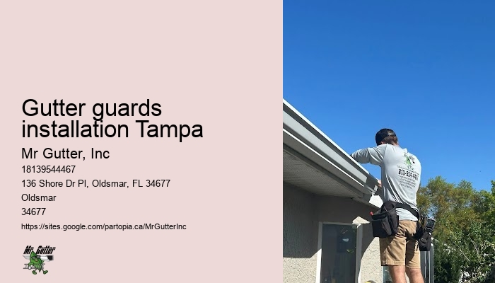 Residential gutter services Gutter guards installation Tampa