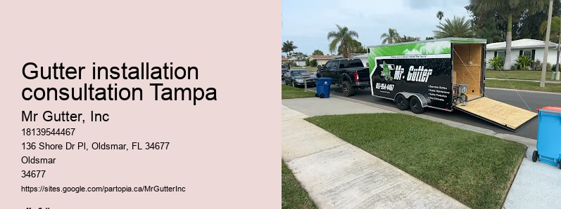 Green gutter installation Gutter installation consultation Tampa
