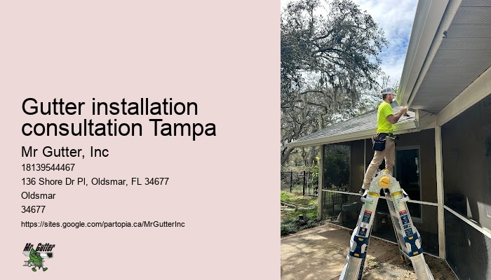 Trustworthy gutter installation Gutter installation consultation Tampa