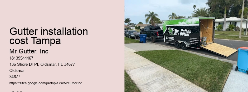 Gutter installation cost Tampa gutter installation promotions