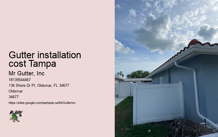 Professional rain gutter installation Gutter installation cost Tampa