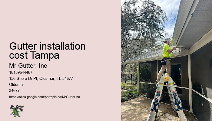 Gutter installation for new homes Gutter installation cost Tampa