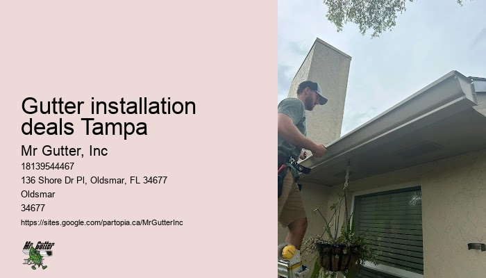 Best gutter installation company Gutter installation deals Tampa