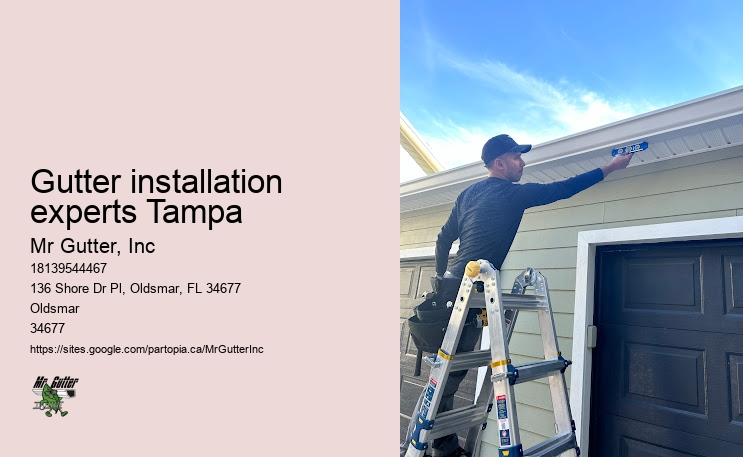 Best gutter companies Gutter installation experts Tampa