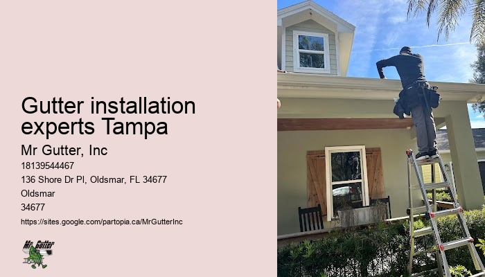 Professional gutter services Gutter installation experts Tampa
