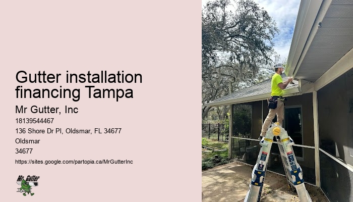 Affordable rain gutters Gutter installation financing Tampa