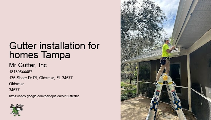 Gutter installation company near me Gutter installation for homes Tampa