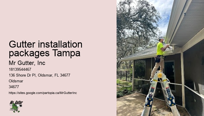 Gutter installation for historic homes Gutter installation packages Tampa