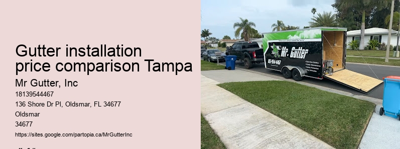 Gutter installation for retail buildings Gutter installation price comparison Tampa