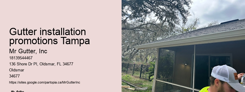 Best gutter installation deals Gutter installation promotions Tampa