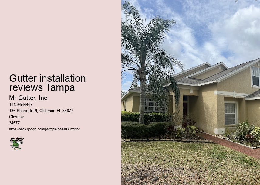 Gutter installation reviews Tampa gutter replacement reviews
