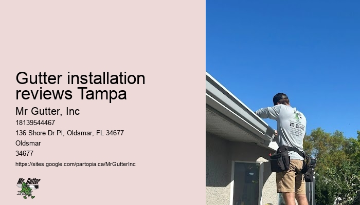 Best gutter cleaning Gutter installation reviews Tampa