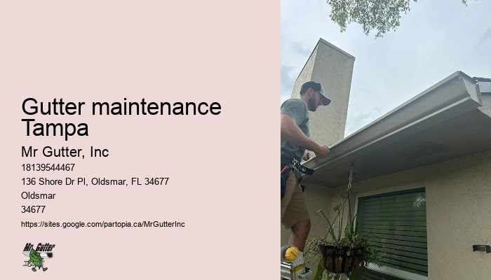 Downspout installation Gutter maintenance Tampa