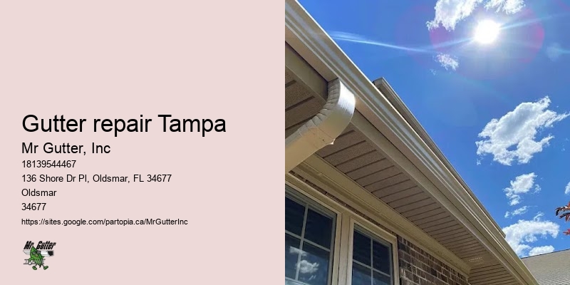 Gutter repair Tampa custom gutters